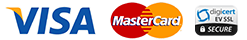 Visa master logo